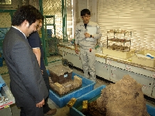 住友化学研究所見学　福岡部会